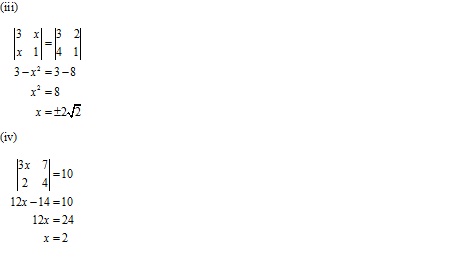 RD Sharma Class 12 Solutions Chapter 6 Determinants Ex 6.1 Q10-i