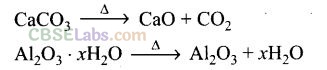 NCERT Exemplar Class 12 Chemistry Chapter 6 General Principles and Processes of Isolation of Elements-16