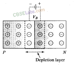 NCERT Exemplar Class 12 Physics Chapter 14 Semiconductor Electronics: Materials, Devices and Simple Circuits-20