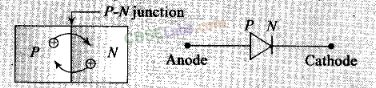 NCERT Exemplar Class 12 Physics Chapter 14 Semiconductor Electronics: Materials, Devices and Simple Circuits-3
