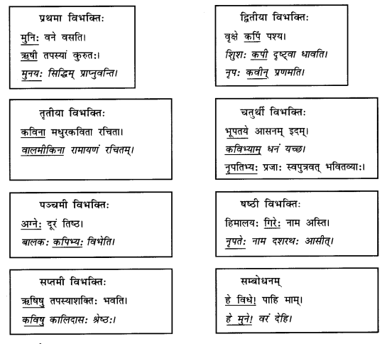 Abhyasvan Bhav Sanskrit Class 9 Solutions Chapter 10 शब्दरूपाणि 5