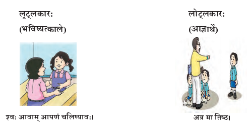 Abhyasvan Bhav Sanskrit Class 9 Solutions Chapter 11 धातरूपाणि 2