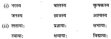 Abhyasvan Bhav Sanskrit Class 9 Solutions Chapter 6 कारकोपपदविभक्तिः 17