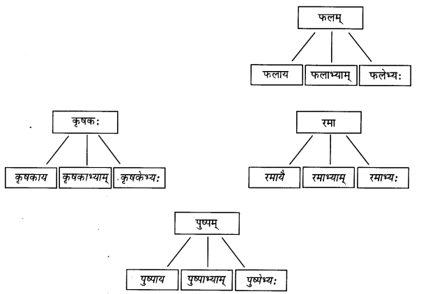 Abhyasvan Bhav Sanskrit Class 9 Solutions Chapter 6 कारकोपपदविभक्तिः 8