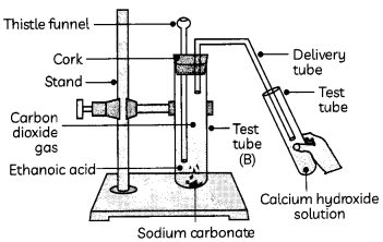 Acids 2