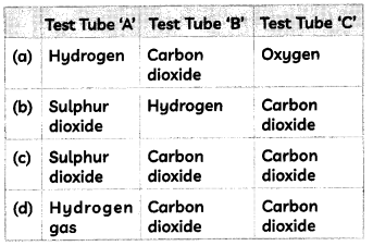Acids 3