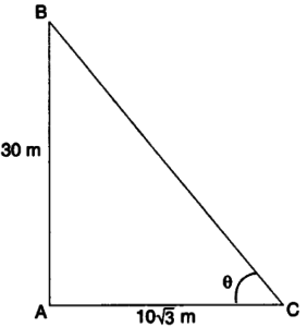 Applications of Trigonometry Height and Distance Class 10 Q 8 i