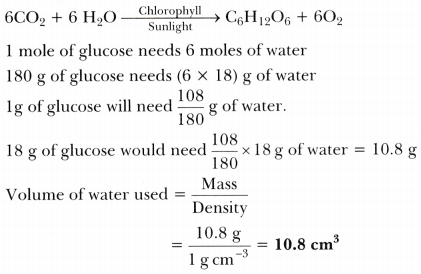 Atoms and Molecules Class 9 Extra Questions Science Chapter 3 8