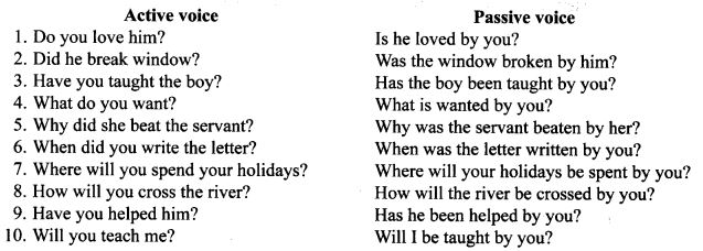 CBSE Class 10 English Grammar - Active And Passive Voice 13