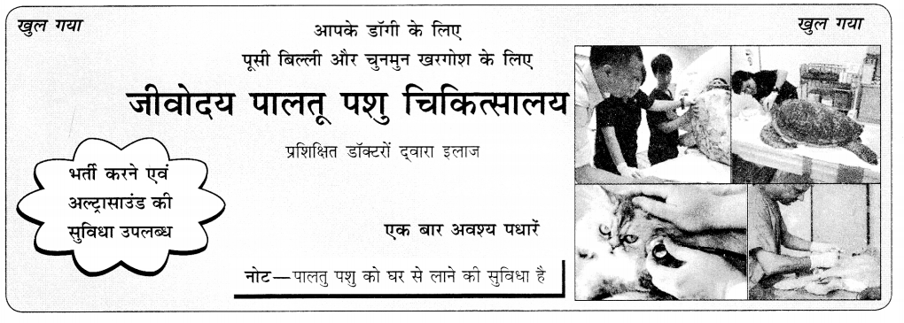 CBSE Class 10 Hindi A विज्ञापन लेखन 12