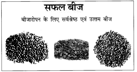 CBSE Class 10 Hindi B विज्ञापन लेखन 12