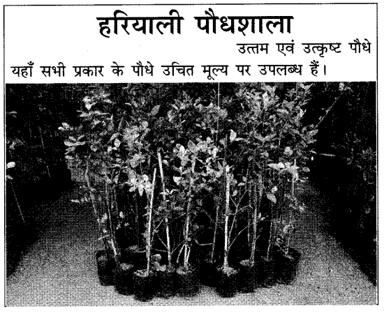 CBSE Class 10 Hindi B विज्ञापन लेखन 13