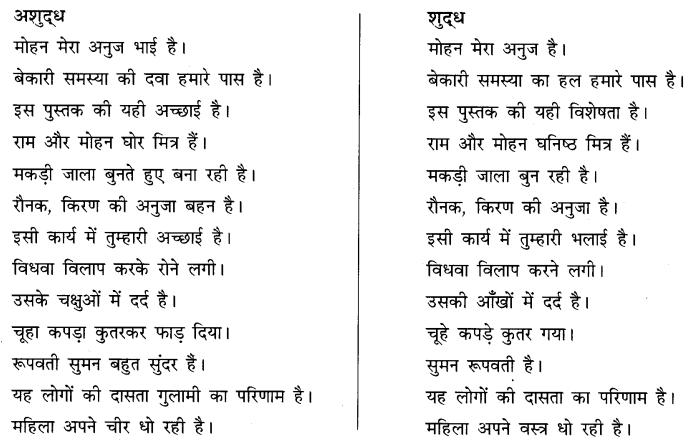 CBSE-Class-10-Hindi-B-व्याकरण-अशुद्धि-शोधन-1