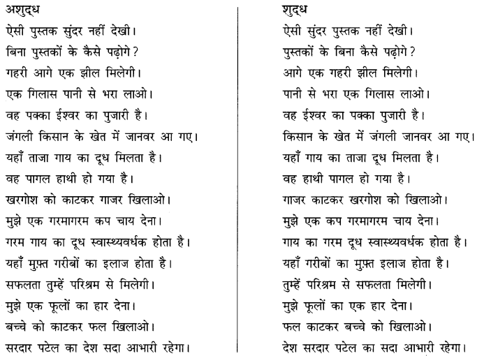 CBSE Class 10 Hindi B व्याकरण अशुद्धि शोधन 10