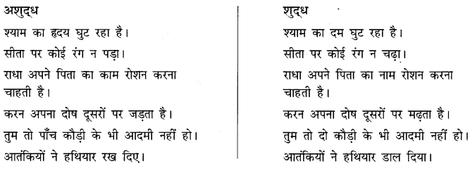 CBSE Class 10 Hindi B व्याकरण अशुद्धि शोधन 11