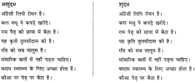CBSE Class 10 Hindi B व्याकरण अशुद्धि शोधन 13