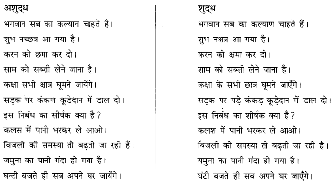 CBSE Class 10 Hindi B व्याकरण अशुद्धि शोधन 14