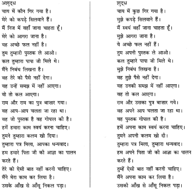 CBSE Class 10 Hindi B व्याकरण अशुद्धि शोधन 2