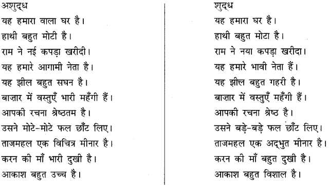 CBSE Class 10 Hindi B व्याकरण अशुद्धि शोधन 3