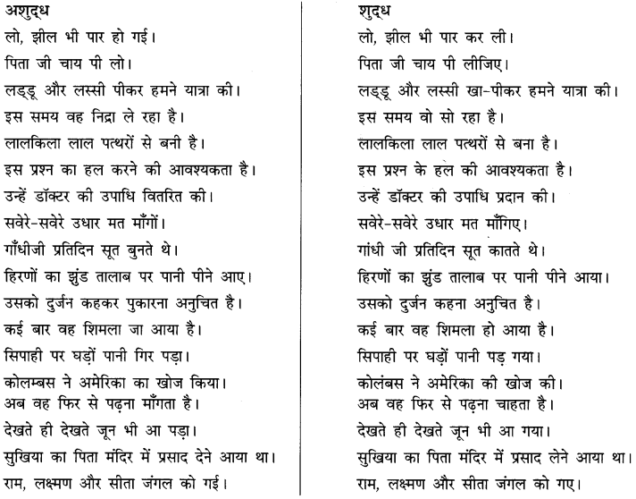 CBSE Class 10 Hindi B व्याकरण अशुद्धि शोधन 5