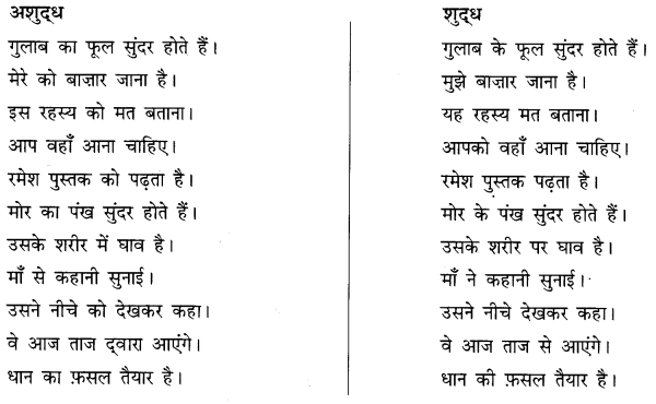CBSE Class 10 Hindi B व्याकरण अशुद्धि शोधन 8