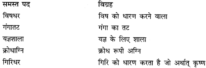 CBSE-Class-10-Hindi-B-व्याकरण-समास-1
