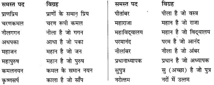 CBSE Class 10 Hindi B व्याकरण समास 10