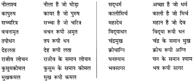 CBSE Class 10 Hindi B व्याकरण समास 11