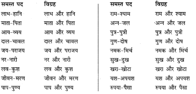 CBSE Class 10 Hindi B व्याकरण समास 13