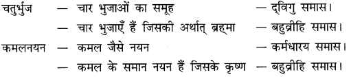CBSE Class 10 Hindi B व्याकरण समास 16