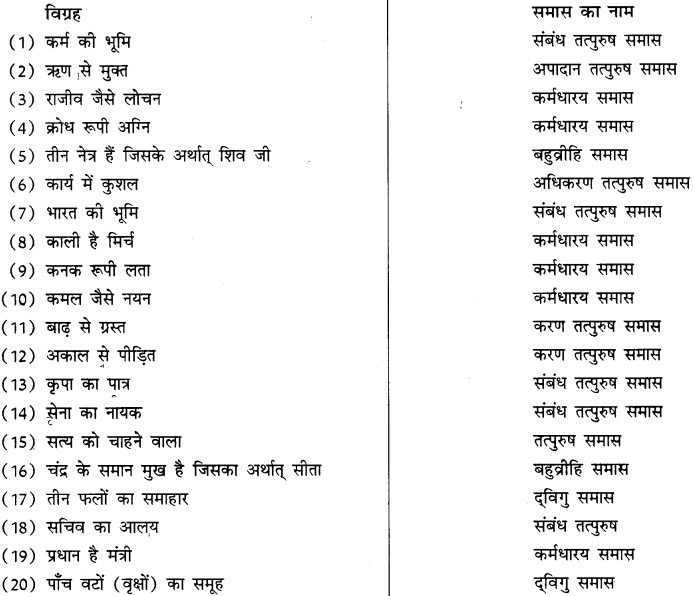 CBSE Class 10 Hindi B व्याकरण समास 17
