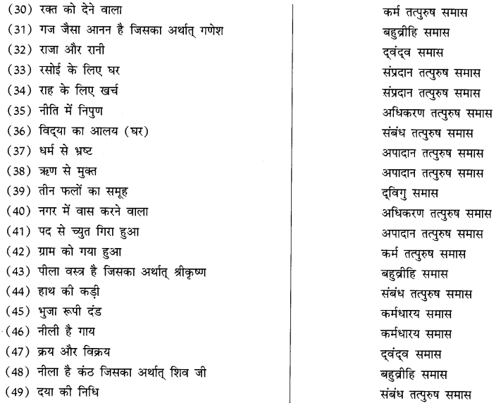CBSE Class 10 Hindi B व्याकरण समास 19