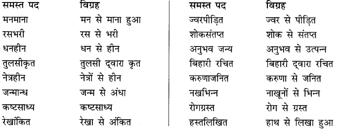 CBSE Class 10 Hindi B व्याकरण समास 5