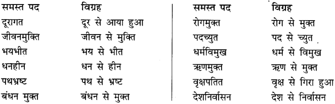 CBSE Class 10 Hindi B व्याकरण समास 7