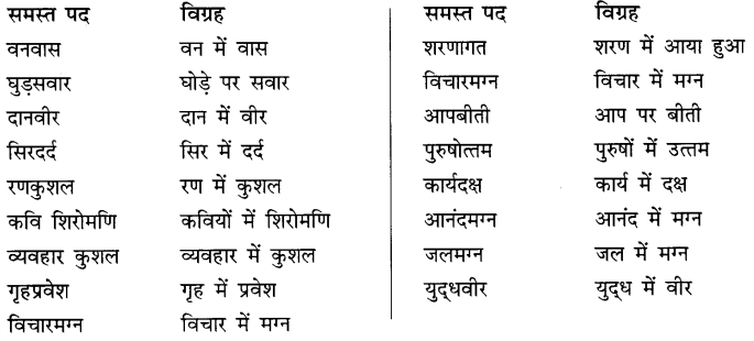 CBSE Class 10 Hindi B व्याकरण समास 9
