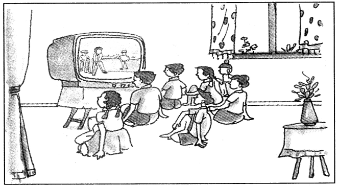 CBSE Class 11 Sanskrit अनुच्छेद-लेखनम् 13
