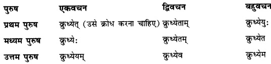 CBSE Class 11 Sanskrit धातुरूपाणि 102