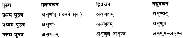 CBSE Class 11 Sanskrit धातुरूपाणि 104