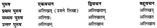 CBSE Class 11 Sanskrit धातुरूपाणि 111