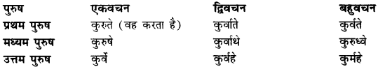 CBSE Class 11 Sanskrit धातुरूपाणि 124