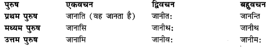 CBSE Class 11 Sanskrit धातुरूपाणि 130