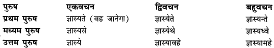 CBSE Class 11 Sanskrit धातुरूपाणि 133