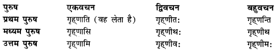 CBSE Class 11 Sanskrit धातुरूपाणि 134