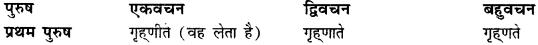 CBSE Class 11 Sanskrit धातुरूपाणि 136