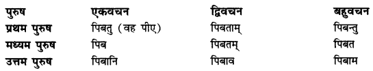 CBSE Class 11 Sanskrit धातुरूपाणि 29
