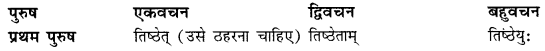 CBSE Class 11 Sanskrit धातुरूपाणि 41