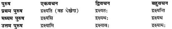 CBSE Class 11 Sanskrit धातुरूपाणि 45