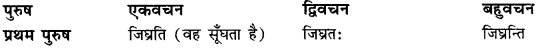 CBSE Class 11 Sanskrit धातुरूपाणि 48
