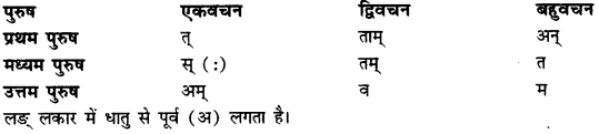 CBSE Class 11 Sanskrit धातुरूपाणि 5
