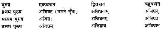 CBSE Class 11 Sanskrit धातुरूपाणि 50